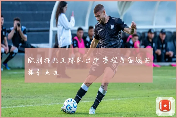 欧洲杯几支球队出炉 赛程与备战安排引关注