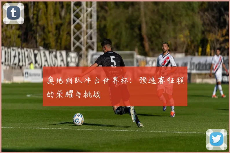 奥地利队冲击世界杯：预选赛征程的荣耀与挑战