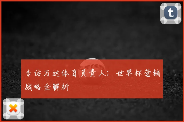 专访万达体育负责人:世界杯营销战略全解析