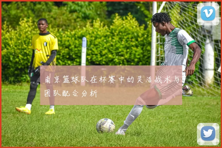 南京篮球队在杯赛中的灵活战术与团队配合分析