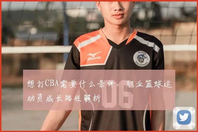 想打CBA需要什么条件，职业篮球运动员成长路径解析