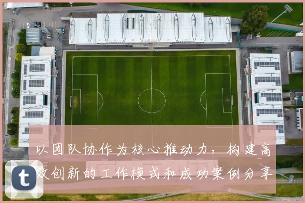 以团队协作为核心推动力，构建高效创新的工作模式和成功案例分享