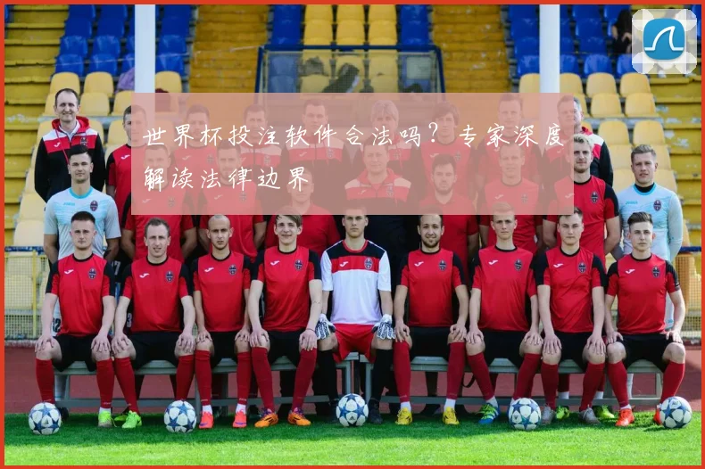 世界杯投注软件合法吗？专家深度解读法律边界