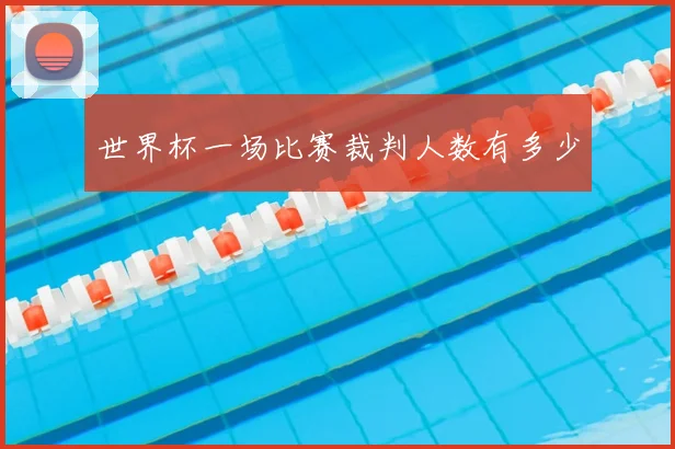 世界杯一场比赛裁判人数有多少
