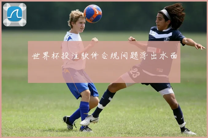 世界杯投注软件合规问题浮出水面