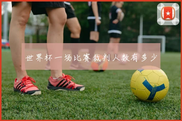 世界杯一场比赛裁判人数有多少
