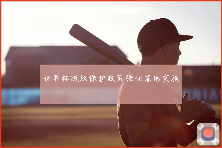 世界杯版权保护政策强化落地实施