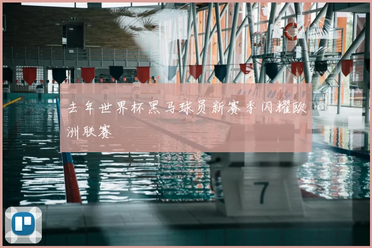 去年世界杯黑马球员新赛季闪耀欧洲联赛