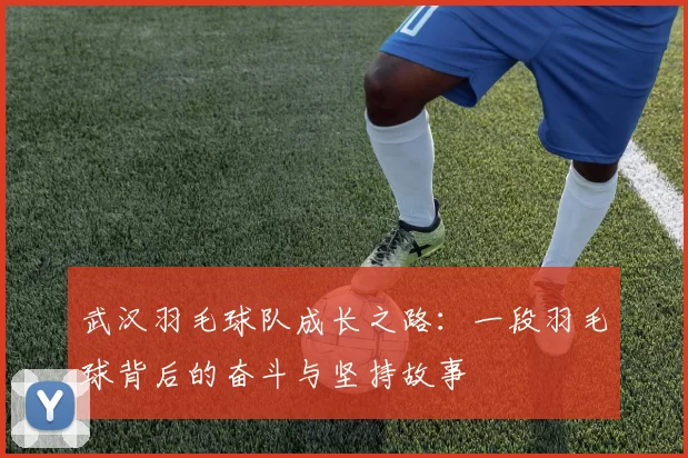 武汉羽毛球队成长之路：一段羽毛球背后的奋斗与坚持故事