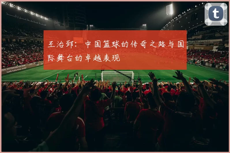 王治郅：中国篮球的传奇之路与国际舞台的卓越表现