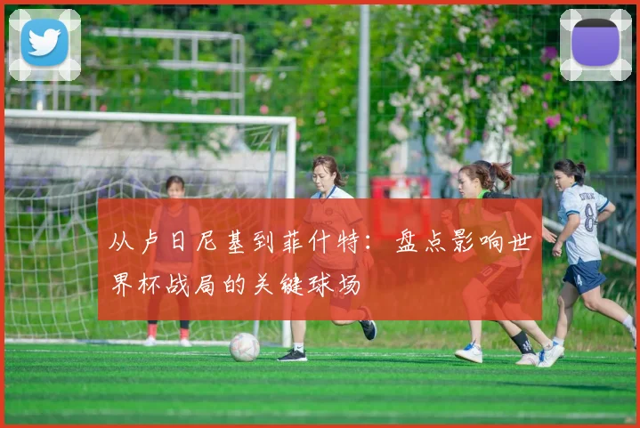 从卢日尼基到菲什特：盘点影响世界杯战局的关键球场