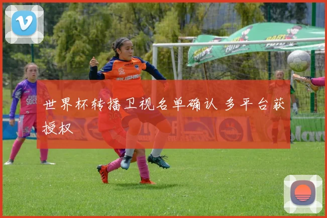 世界杯转播卫视名单确认 多平台获授权