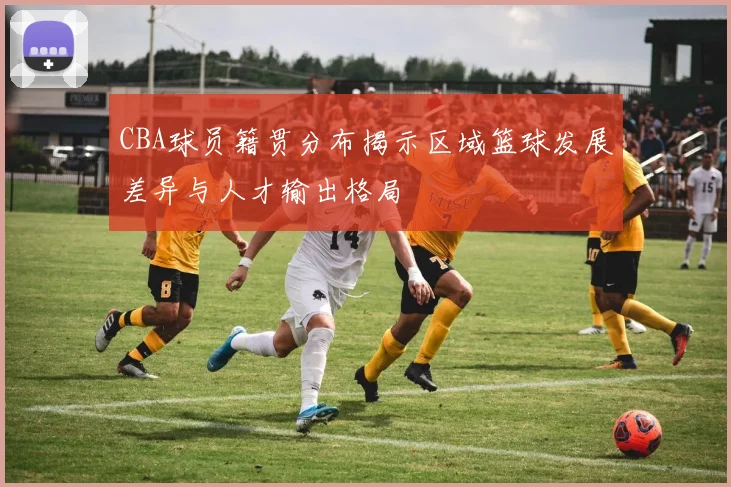 CBA球员籍贯分布揭示区域篮球发展差异与人才输出格局