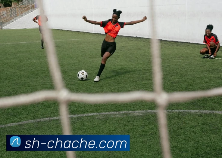 星空体育平台生态图