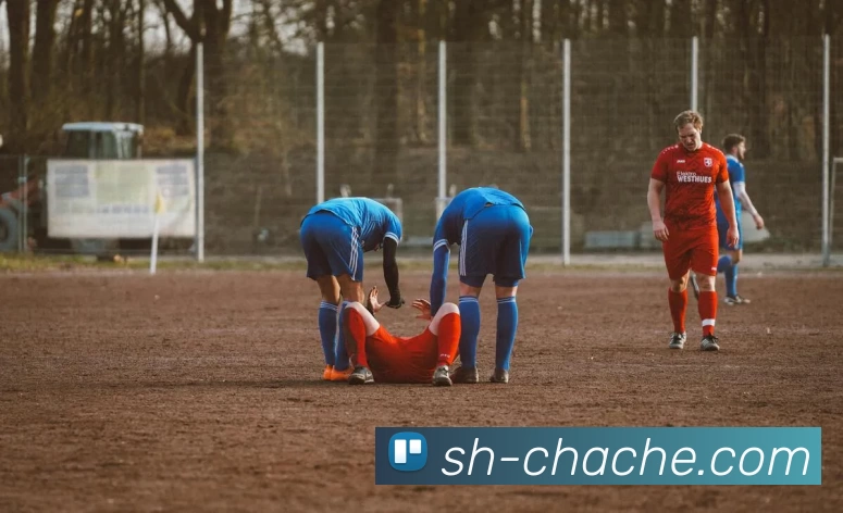 星空体育APP 封面图